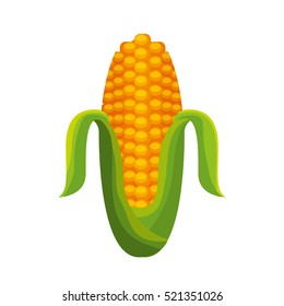 corn vegetable isolated icon vector illustration design