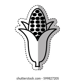 corn vegetable isolated icon vector illustration design