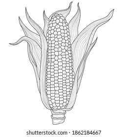 Corn. Vegetable.Coloring book antistress for children and adults.Zen-tangle style.Black and white drawing