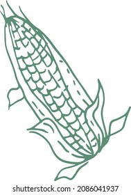 Corn vegetables graphic illustration hand drawn print textiles harvest autumn food vegetarianism healthy food salad vitamins