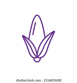 Corn vegetables outline vector icon