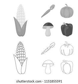 Corn, vitamin carrots with tops, pumpkin, forest mushroom. Vegetables set collection icons in outline,monochrome style vector symbol stock illustration web.