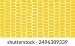 corn  wallpaper   background. Vector illustration