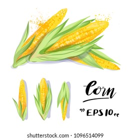 Corn watercolor vector realistic hand drawn illustration for graphic design of fashion fabric, banners, prints, cards, invitations with botanical elements.