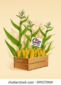 Corn in a wooden box