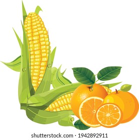 aselo de maíz y vector de hoja orgánica