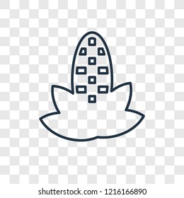 Corncob concept vector linear icon isolated on transparent background, Corncob concept transparency concept in outline style