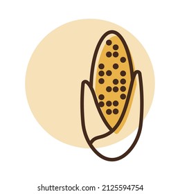 Icono aislado de Corncob. Señal de agricultura. Símbolo gráfico para el diseño del sitio web, logotipo, aplicación, interfaz de usuario. Ilustración del vector, EPS10.