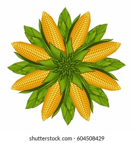 corncob flower isolated on white background