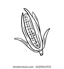A corncob, a hand-drawn icon. Corn cob, doodle-style vegetables, realistic contour drawing of harvest, plantation, farm.