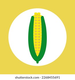 Corncob icon isolated in the circle. Vector.