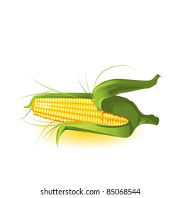 corncob in leaves vector illustration