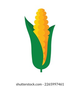 Corncob. Sweet yellow ear of corn with grain. Abstract geometric corn, isolated on white. Stylized minimalistic illustration in flat style.