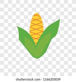 Corncob vector icon isolated on transparent background, Corncob logo concept