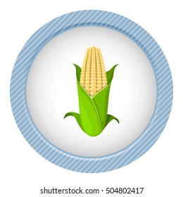 Corncob vector illustration. Vector illustration in cartoon style