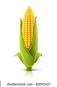 corncob vector illustration isolated on white background