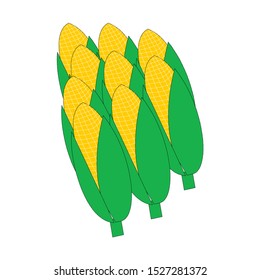 Corncobs with yellow corns and green leaves group, white background. Ripe corn vegetables isolated, Eps10 vector illustration.