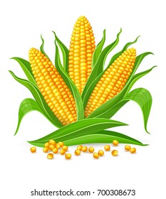 15,857 Corn on the cob Stock Vectors, Images & Vector Art | Shutterstock