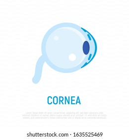 Cornea flat icon. Structure of human eye. Ophthalmology. Vector illustration.