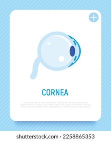 Cornea flat icon. Structure of human eye. Ophthalmology. Vector illustration.