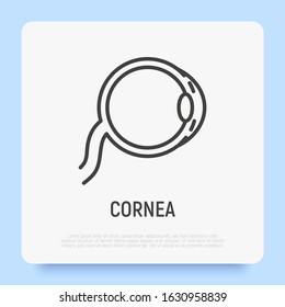 Cornea thin line icon. Structure of human eye. Ophthalmology. Vector illustration.