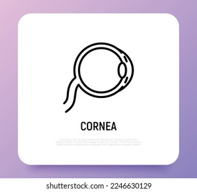 Cornea thin line icon. Structure of human eye. Ophthalmology. Vector illustration.