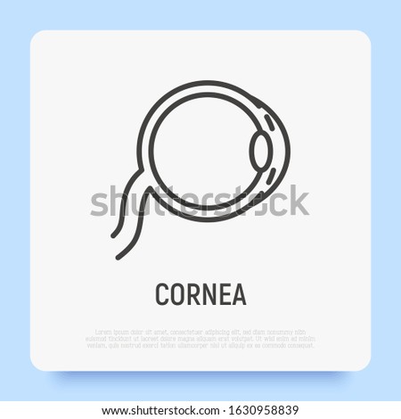 Cornea thin line icon. Structure of human eye. Ophthalmology. Vector illustration.