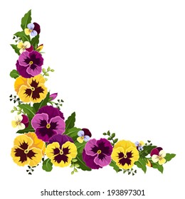 Corner background with pansy flowers. Vector illustration.