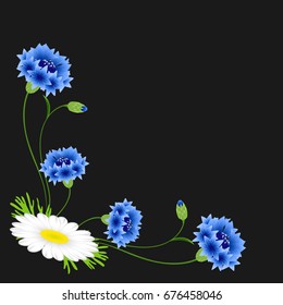 Corner with blue cornflowers and daisy on a black background.