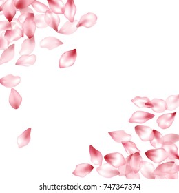 Corner border of blossom flying petals isolated on white invitation background, flower parts wedding decorative frame. Pink blossom elements, flower petals valentines day background border.