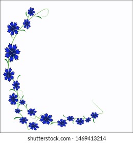 Corner border of cornflower, empty floral frame. Vector composition 