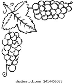 Corner border with grape leaves and berry in hand drawn sketch style