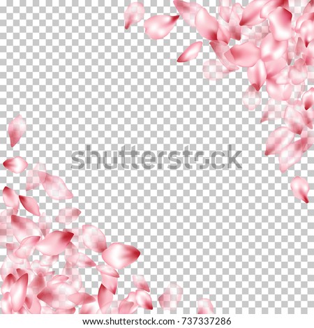Corner Borders Flying Petals Isolated On Stock Vector (Royalty Free