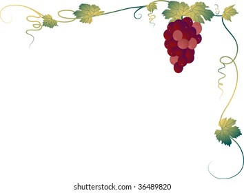 Corner with the bunch of grapes