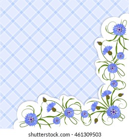 Corner composition with blue cornflowers and green leaves. Vector illustration on squared background.