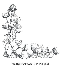 Corner composition of flowers. Botanical illustration of a bouquet. Vector hand drawing in engraving style. Ink sketch for wrapper. Linear design imitates etching technique.