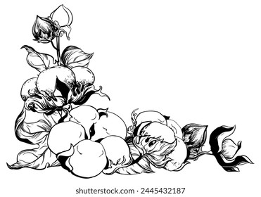Corner composition of flowers. Botanical illustration of a bouquet. Vector hand drawing in engraving style. Ink sketch for wrapper. Linear design imitates etching technique.