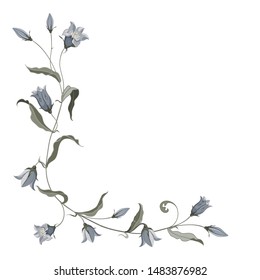Corner composition of hand drawn blue bell flower for design on white background. Vector illustration, monochrome