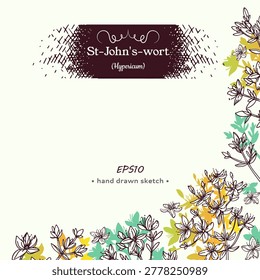 Corner composition of Hypericum or St. John’s wort, medicinal plant, sketch of stem with leaves and flowers. Vector illustration