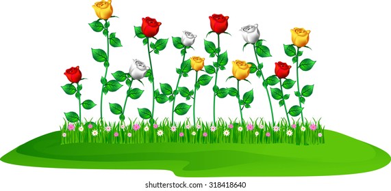 Corner composition with red roses and green leaves. Vector illustration isolated on white background.