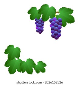 Rincón decorado con uvas de color oscuro y hojas de uva