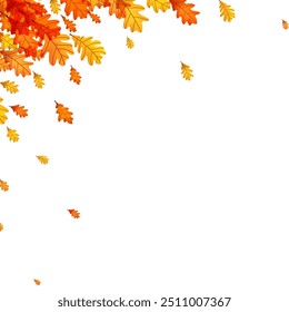 Corner design of falling autumn oak leaves in vibrant orange and yellow tones. Vector illustration.