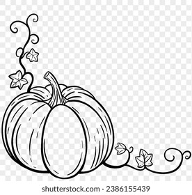 Corner and drawn pumpkin with leaves and vine in  brush style isolated on transparent PNG background for Thanksgiving 