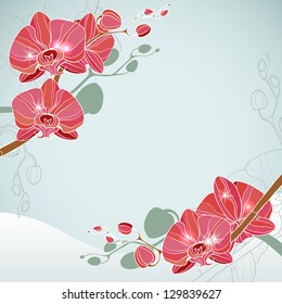 Corner floral background with orchid