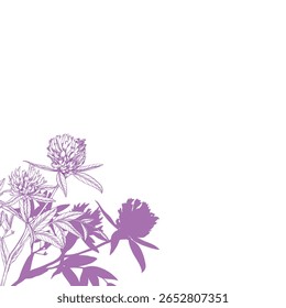 Corner frame of clover and its shadow. For packaging design, cards, cover, prints, product labels and fabric. Meadow flower vector ink illustration. Handmade ink art work.