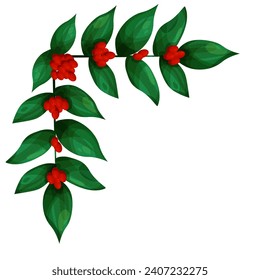 Eckgerüst mit Kaffeezuchtzweig und Beeren