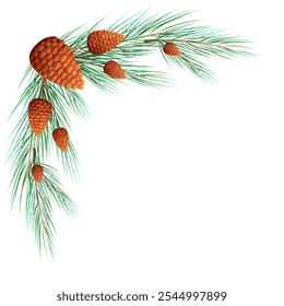 Corner frame of fir tree branch and cone on transparent background. Vector illustration