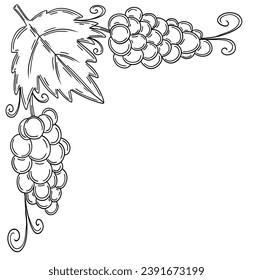 Corner frame with grape leaf and fruit in  outline sketch style