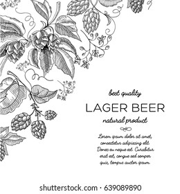 Corner frame hop scroll vignette ornament doodle with text about best quality lager beer hand drawn doodle vector illustration