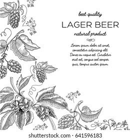Corner frame hop vignette ornament doodle with text about natural product lager beer and best quality hand drawn doodle vector illustration
